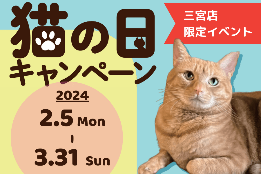 catcat_20240129_topec-1.png