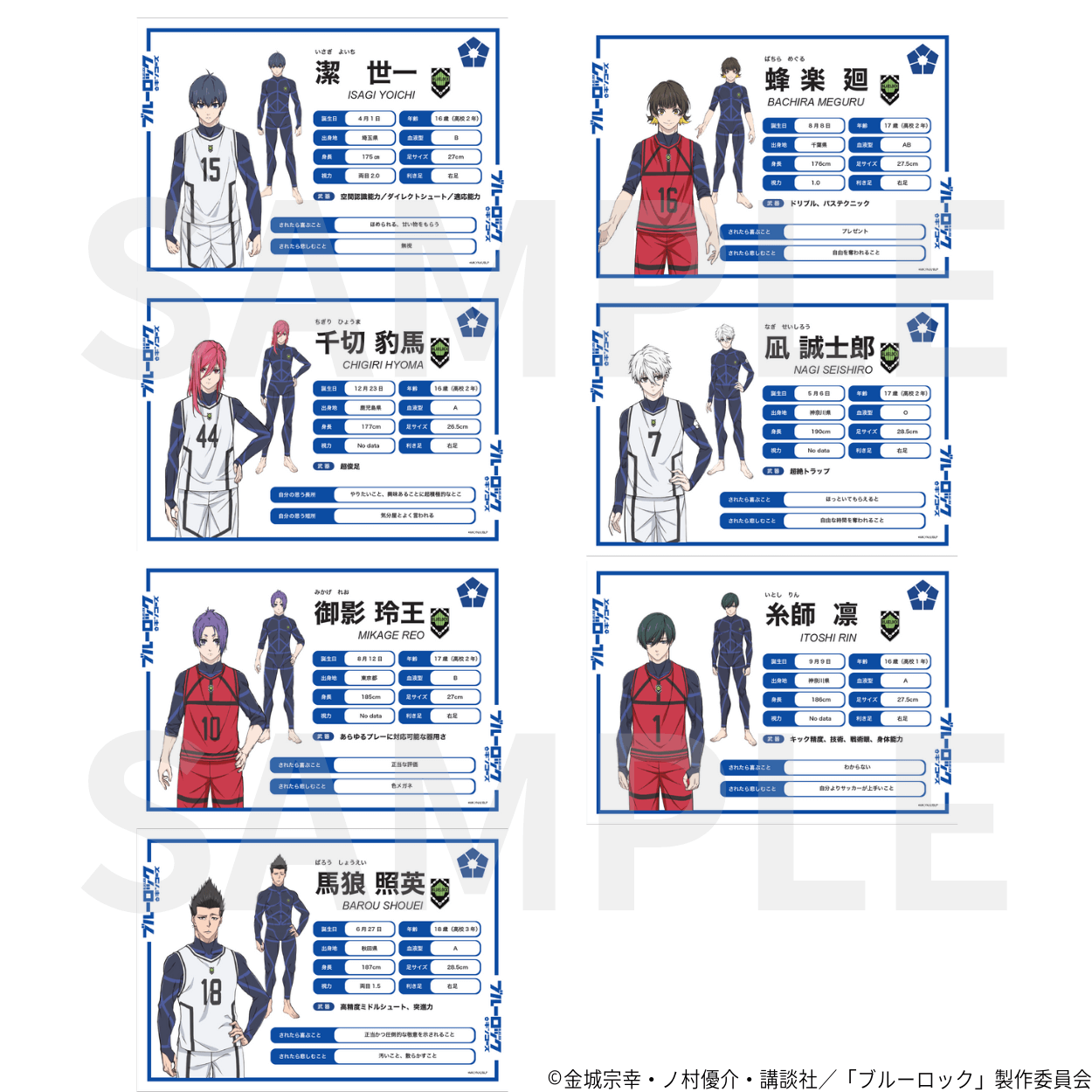 選手証＆選手情報_3