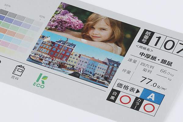 中厚紙　銀鼠
