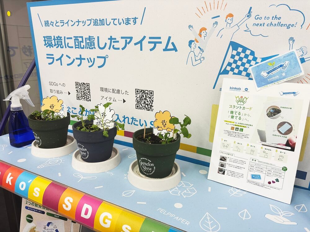 横浜西口店SDGsコーナー