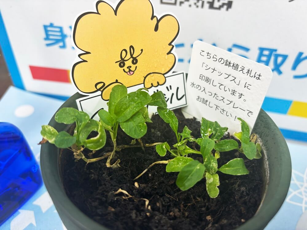 横浜西口店SDGsコーナー