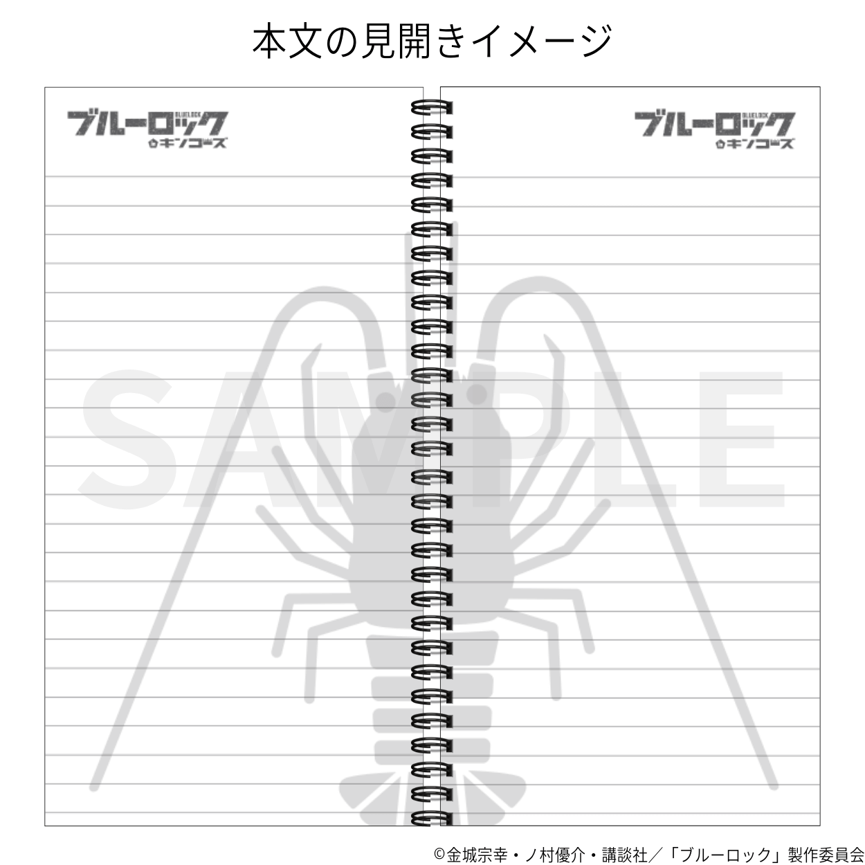 本文のイメージ