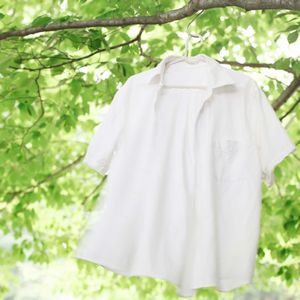 クールビズのPR方法
