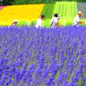 旅行テーマに合わせてデザイン