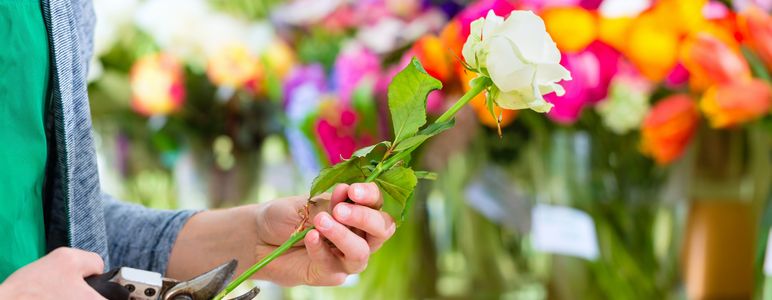 バラの茎をカットする花屋の店員